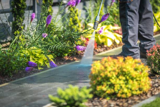 Best Dumpster Area Cleaning  in Mcminnville, OR